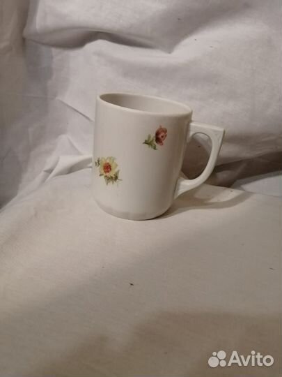 Кружка вербилки ранние советы