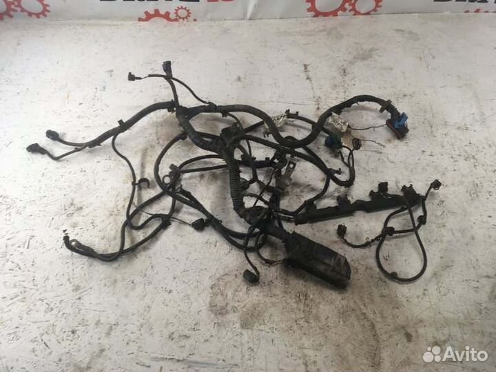 Проводка двигателя (коса) Ford Focus 2 хэтчбэк 1.6