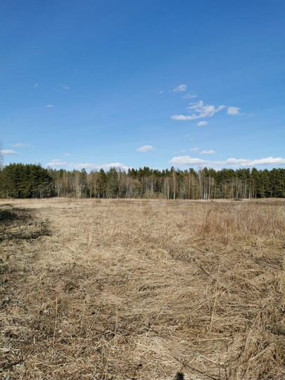 Участок 8 сот. (ИЖС)