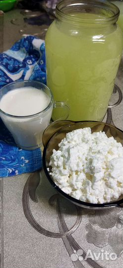 Молоко творог сливки сыр
