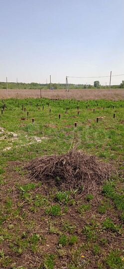 Участок 10 сот. (ИЖС)