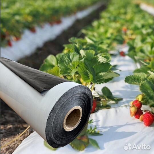 Перфорированная мульчирующая пленка от производите