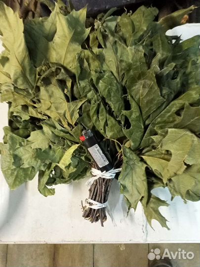 Корм для палочника