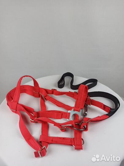 Узда-недоуздок из стропы pony красный