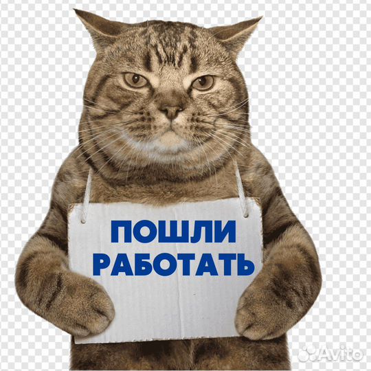 Собирать заказы в гипермаркете в ночь