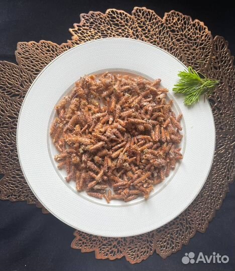 Сосновые почки