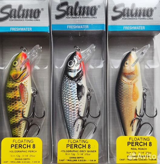 Salmo Perch 8F - HP/PH/HOP/HGS/RR
