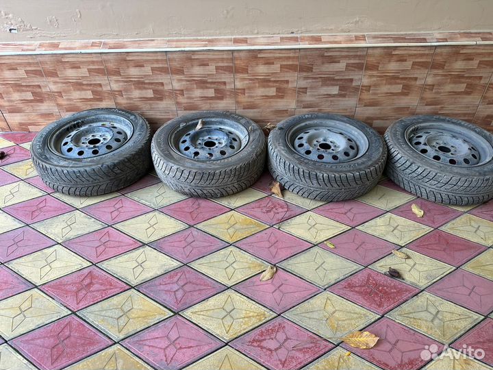 Barez Aleria 14/5 R4