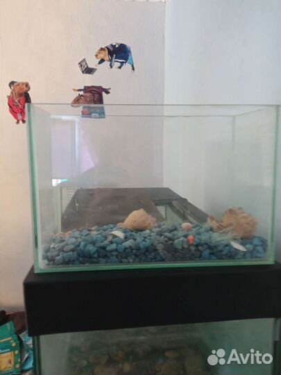 Аквариум