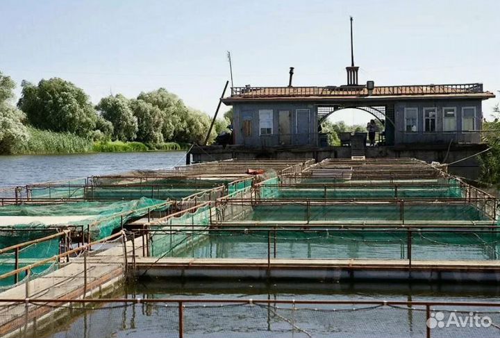 Турпоездка Уикенд на Волге на 1 н. отель 4*