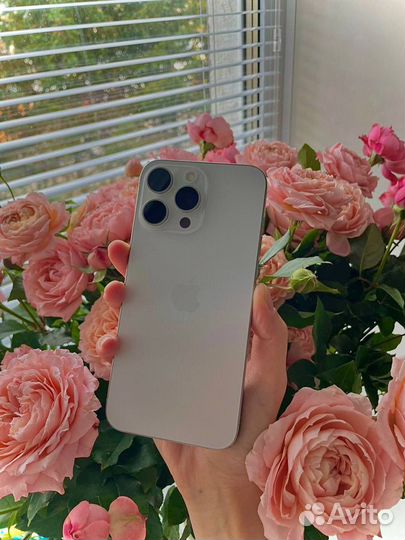 iPhone 15 Pro Max, 256 ГБ