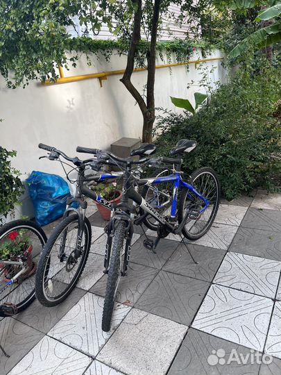 Велосипеды стелс