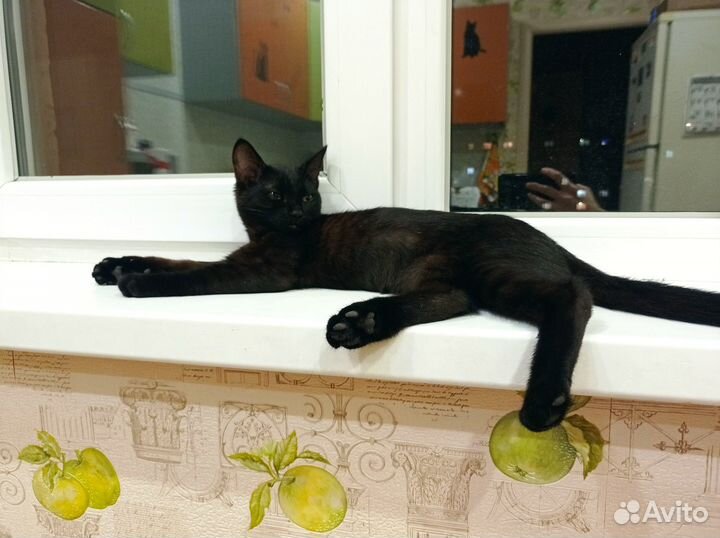 Ищу любящее сердце и добрые руки