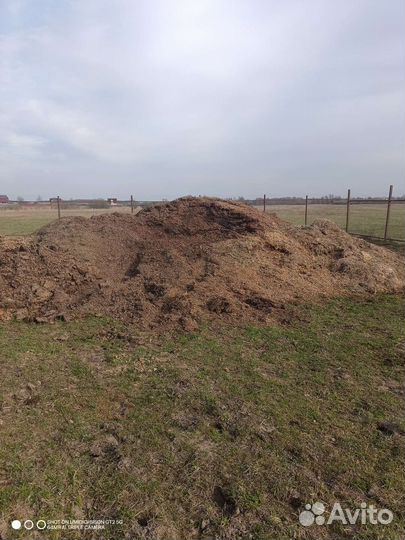 Конский навоз