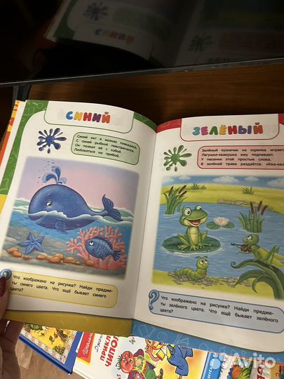 Годовой курс занятий 2,3 - 3,4