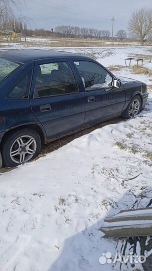 Opel Vectra 1.6 МТ, 1994, 300 000 км