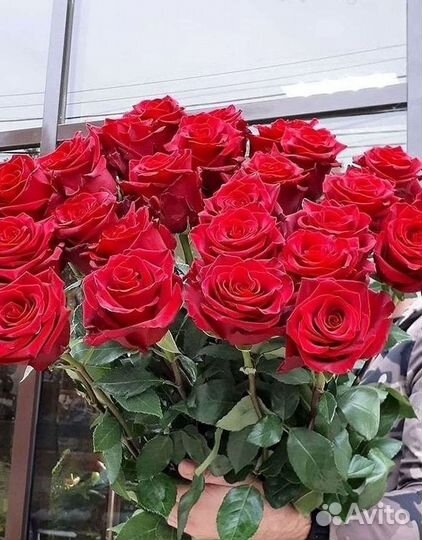 Розы высокие Доставка цветов