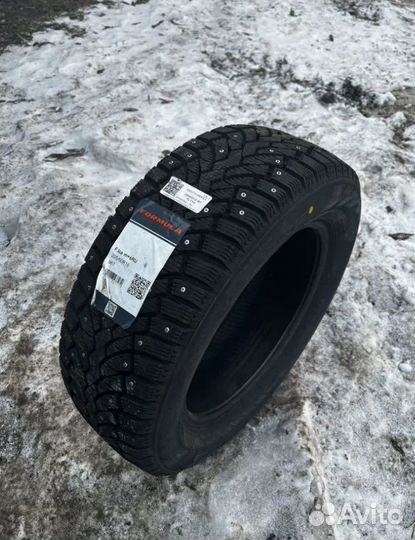 Formula Ice 205/60 R16 96T