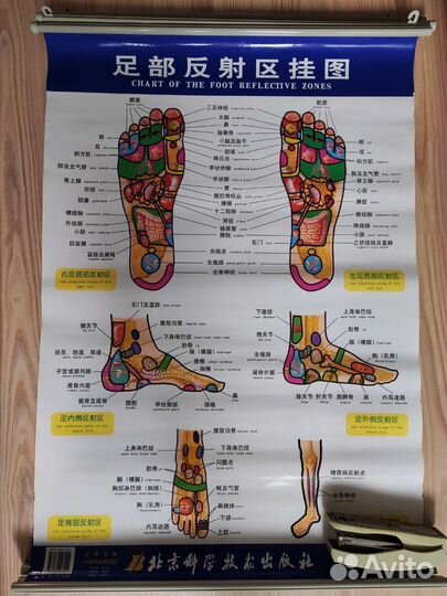 Таблица рефлекторная карта стопы, 57см х 89