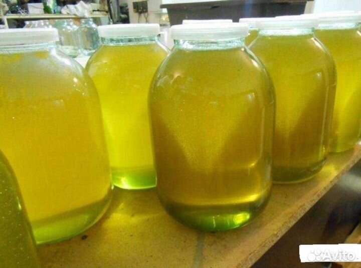 Мед 2023 (Алтай, Башкирия, Краснодар)