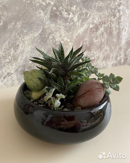 Мини садик с суккулентами
