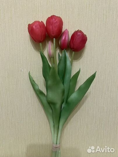 Тюльпаны интерьерные (букет 5 шт.)
