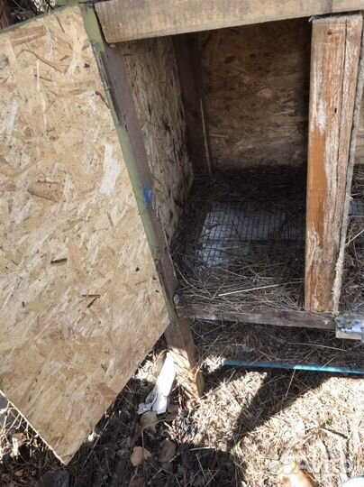 Клетка для кролика