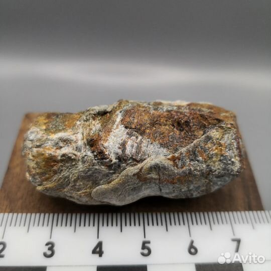 Гранаты альмандины в хлористом сланце