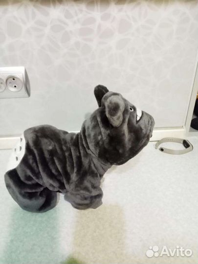 Костюм для кошки