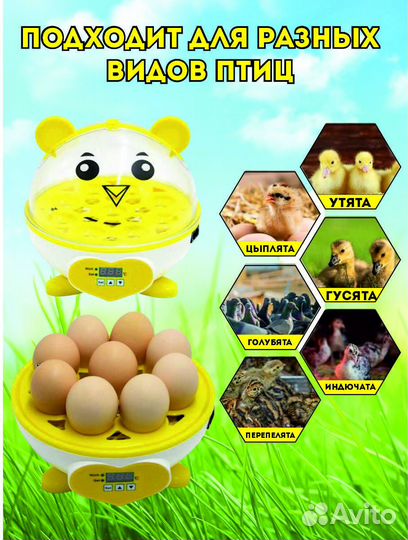 Инкубатор для яиц