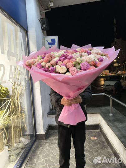 Куставой роза пионавидный