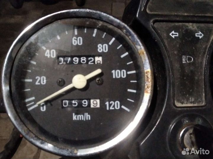 Альфа рейсер110