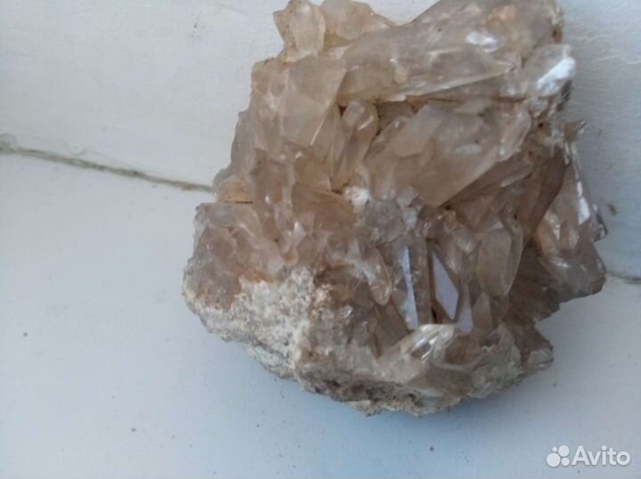 Аквариумные принадлежности