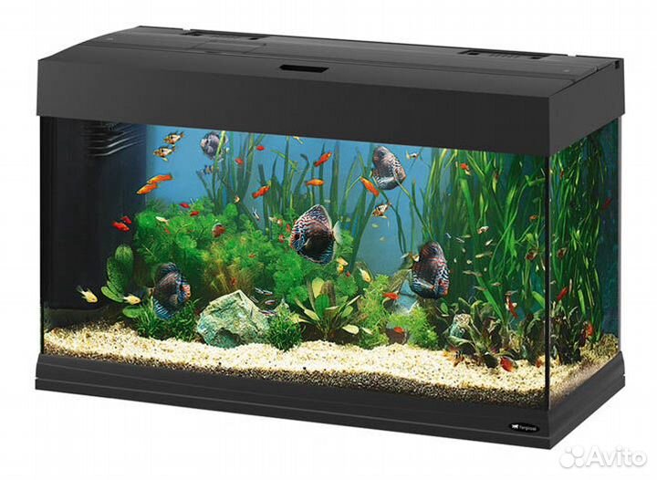 Аквариумы и террариумы готовые и под заказ