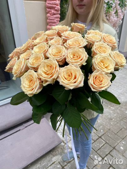 Роза Россия