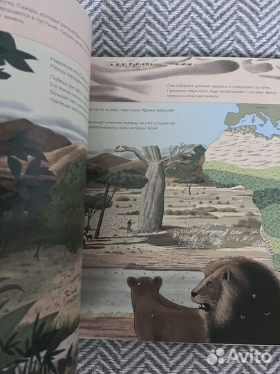 Мы и наша история