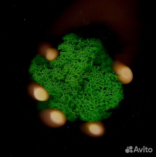 Стабилизированный ягель от производителя, 500г