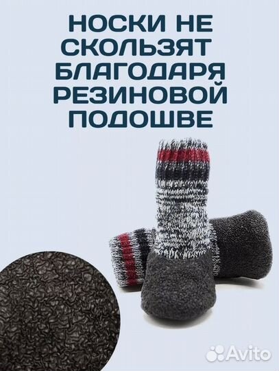 Обувь для собак мелких пород