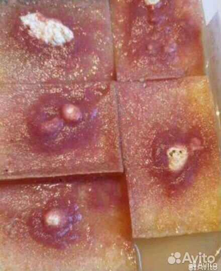 Израильский трубочник Изя и аулофорус