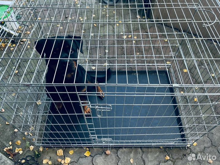 Клетка для крупных собак 113х87х75