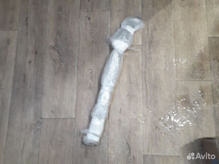 Гриф стеллы