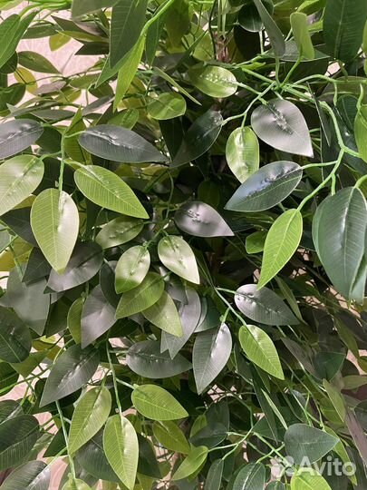 Искусственное дерево фикус