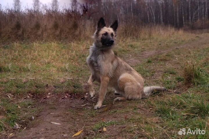 Я Ронни.И я так сильно тебя жду