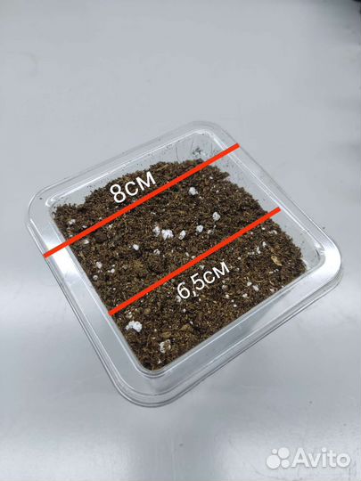 Торф Profi mix, стаканчики и зажимы для растений