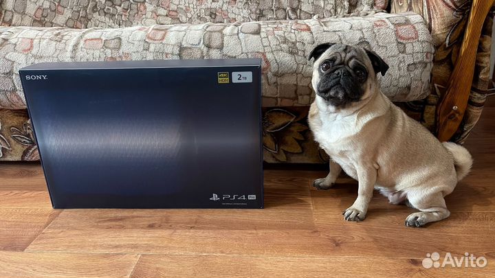 Sony ps4 pro 2 tb 500 million edition