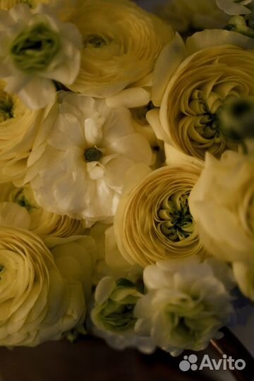 Оформление мероприятий