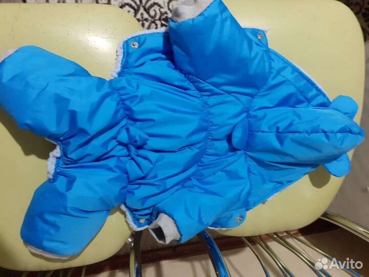 Костюм для той терьра