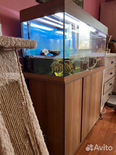 Террариум для черепахи