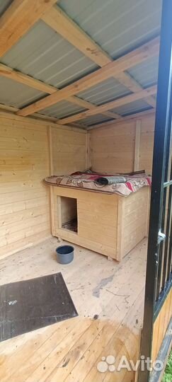 Вольер для собак уличный