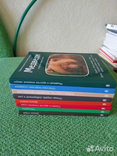 Энциклопедия